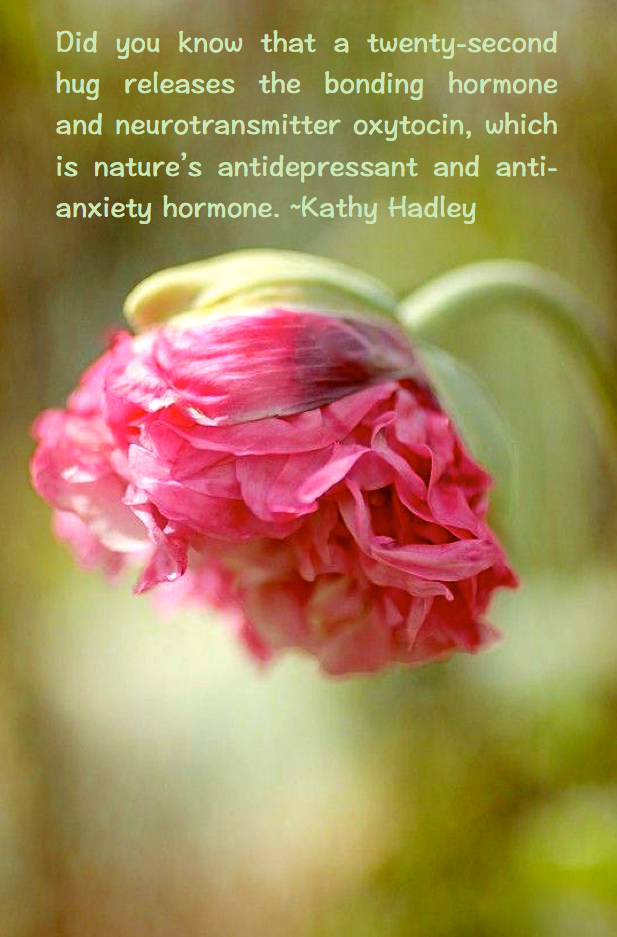 Screen Shot 2016-09-16 at 10.27.42 PM.png