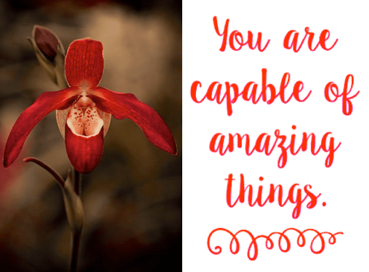 Screen Shot 2016-09-17 at 10.27.44 PM.png