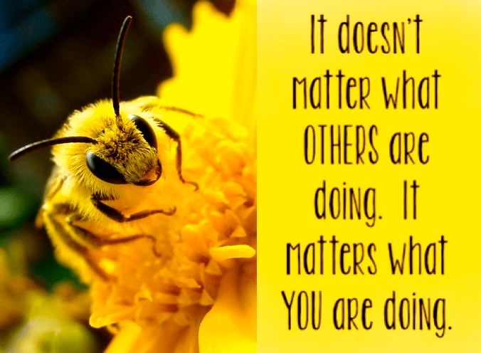 Screen Shot 2016-09-17 at 10.30.32 PM.png