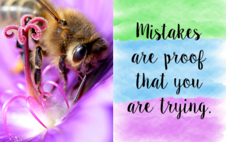 Screen Shot 2016-09-17 at 10.32.14 PM.png