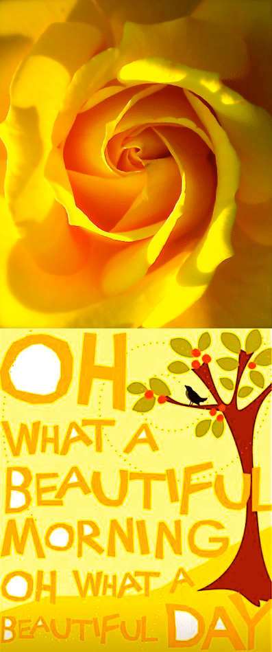 Screen Shot 2016-09-17 at 10.36.37 PM.png