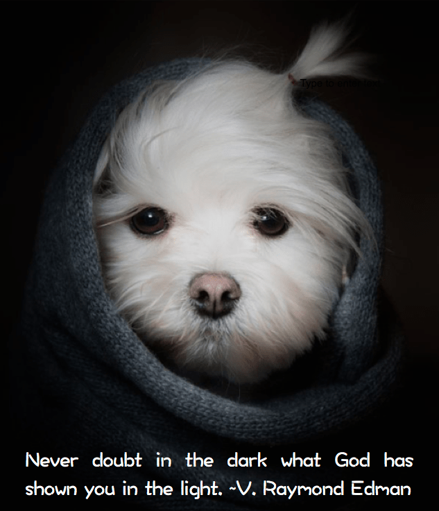 Screen Shot 2016-09-17 at 10.41.58 PM.png