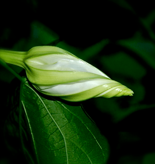 Screen Shot 2016-09-17 at 5.34.53 PM.png