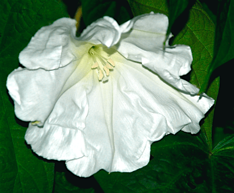 Screen Shot 2016-09-18 at 4.18.53 PM.png