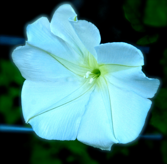 Screen Shot 2016-09-18 at 5.47.56 PM.png