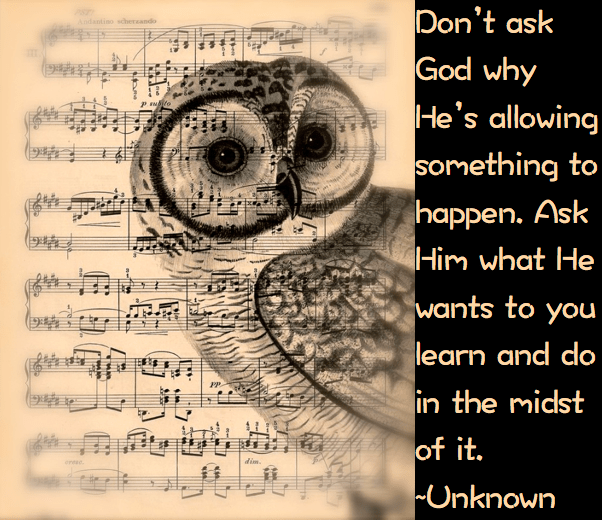 Screen Shot 2016-09-19 at 10.04.48 PM.png