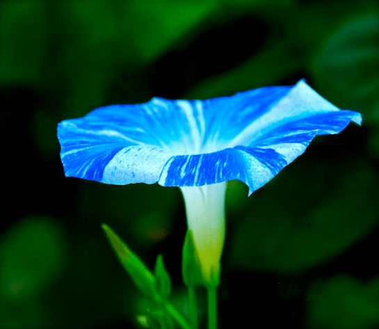 Screen Shot 2016-09-20 at 1.59.02 PM.png