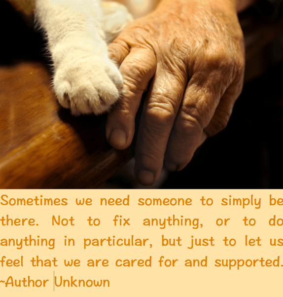 Screen Shot 2016-09-20 at 9.59.51 PM.png