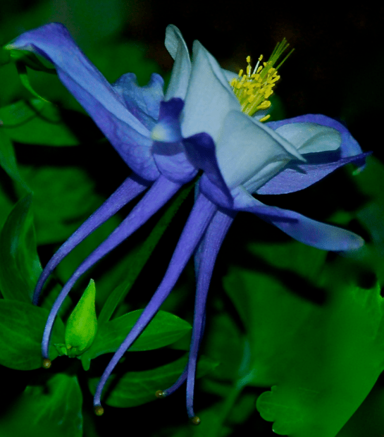 Screen Shot 2016-09-21 at 6.03.34 PM.png