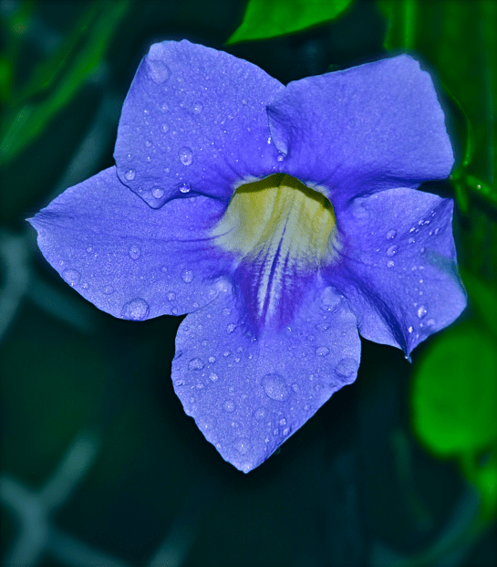 Screen Shot 2016-09-21 at 6.40.46 PM.png