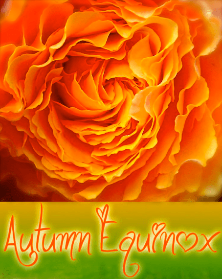 Screen Shot 2016-09-22 at 9.21.04 AM.png