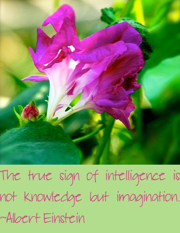 Screen Shot 2016-09-23 at 3.10.45 PM.png