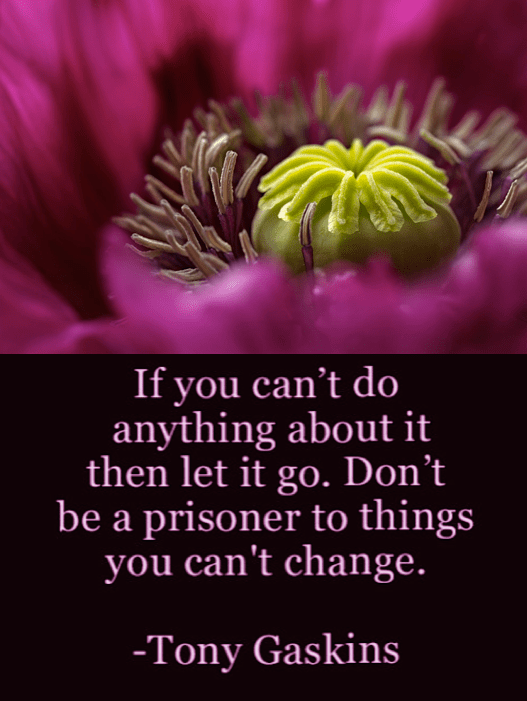 Screen Shot 2016-09-24 at 10.09.05 PM.png