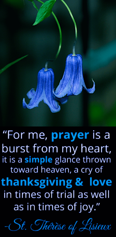 Screen Shot 2016-09-24 at 10.14.04 PM.png