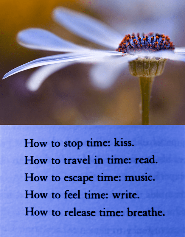 Screen Shot 2016-09-24 at 10.22.31 PM.png