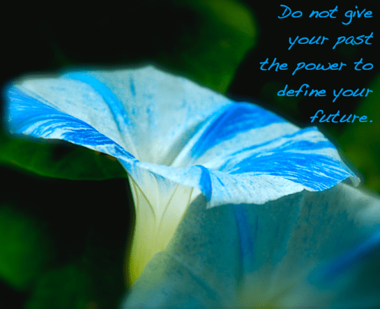 Screen Shot 2016-09-24 at 3.31.50 PM.png