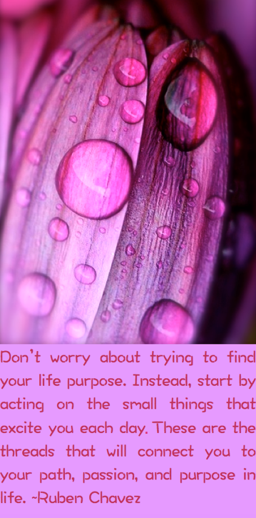 Screen Shot 2016-09-24 at 8.32.24 AM.png