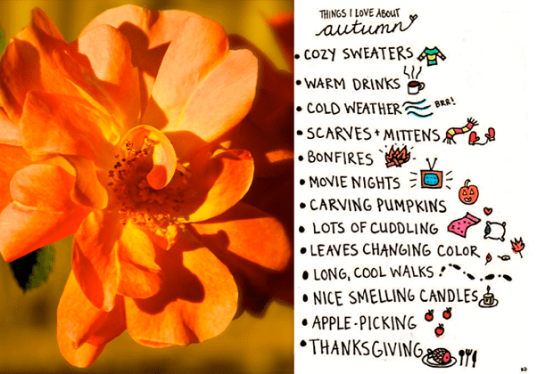 Screen Shot 2016-09-25 at 10.04.47 PM.png