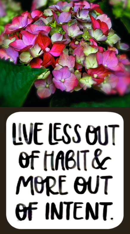 Screen Shot 2016-09-25 at 9.02.40 PM.png