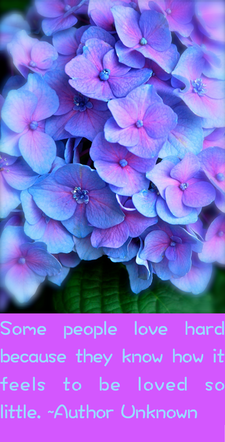 Screen Shot 2016-09-25 at 9.27.07 PM.png