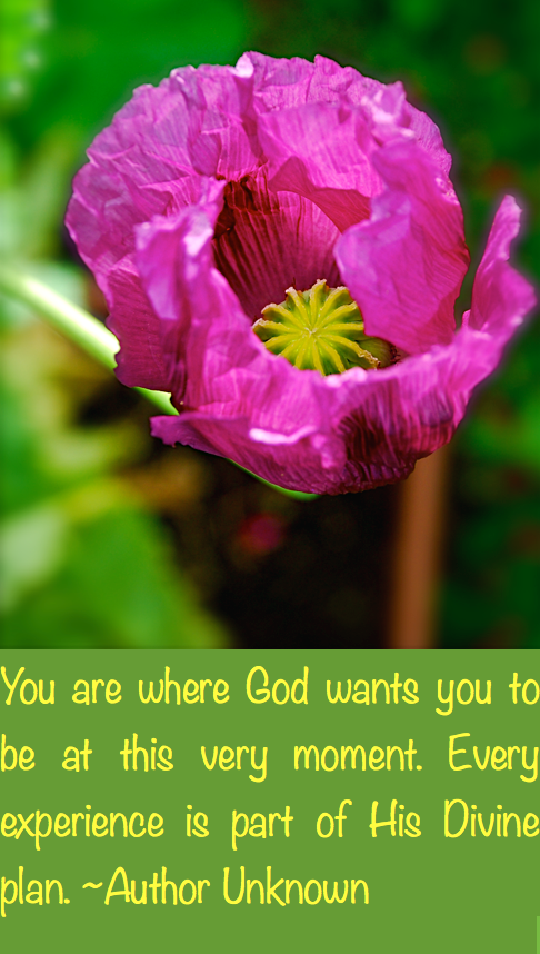 Screen Shot 2016-09-25 at 9.40.28 PM.png