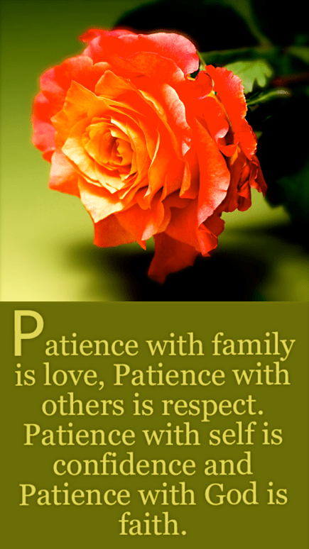 Screen Shot 2016-09-25 at 9.46.22 PM.png