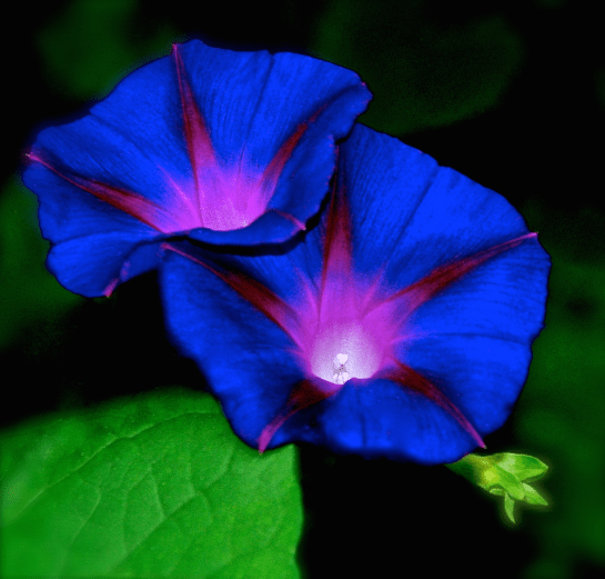 Screen Shot 2016-09-26 at 8.48.26 PM.png