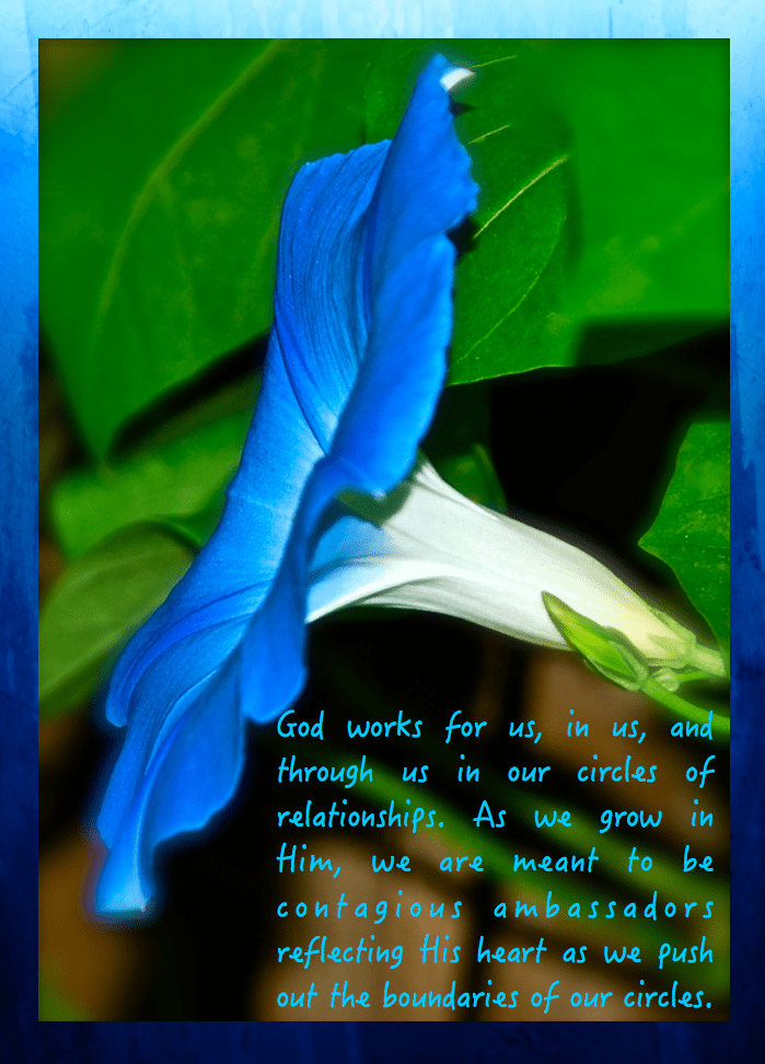 Screen Shot 2016-09-28 at 10.28.45 PM.png