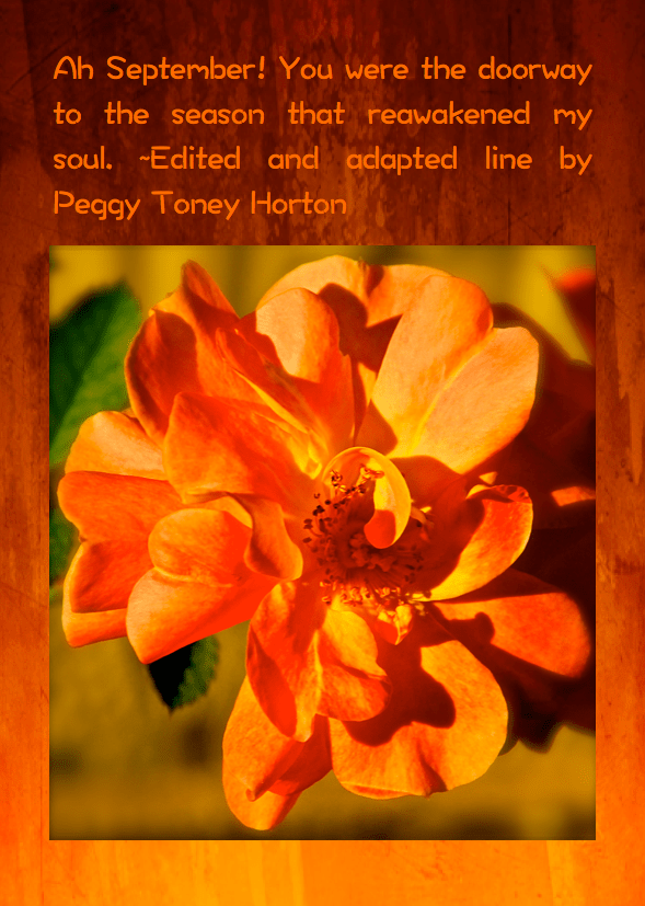 Screen Shot 2016-09-28 at 10.45.25 PM.png