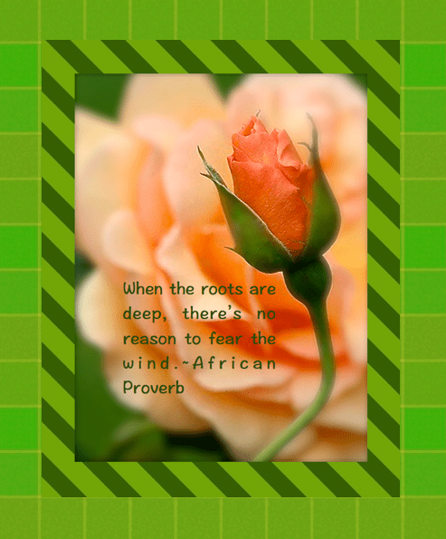 Screen Shot 2016-09-29 at 8.05.36 PM.png