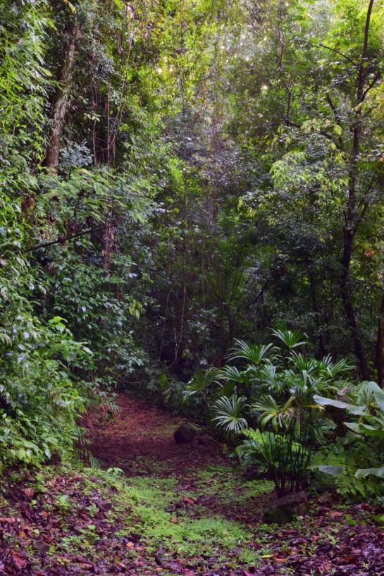 14715046_580149598852743_5108547515126518681_o