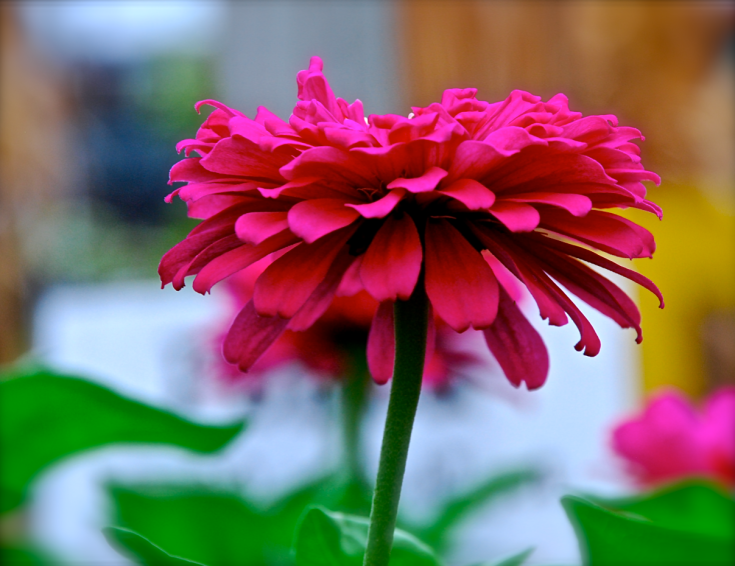 Screen Shot 2016-10-01 at 5.51.45 PM.png