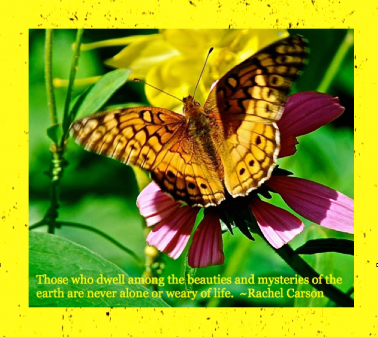 Screen Shot 2016-10-01 at 8.55.00 PM.png