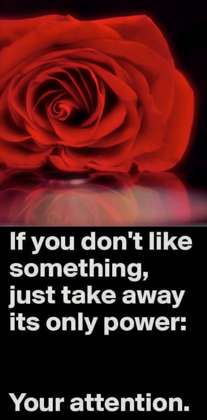 Screen Shot 2016-10-01 at 9.16.22 PM.png