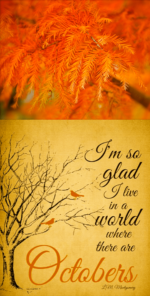 Screen Shot 2016-10-01 at 9.30.57 PM.png