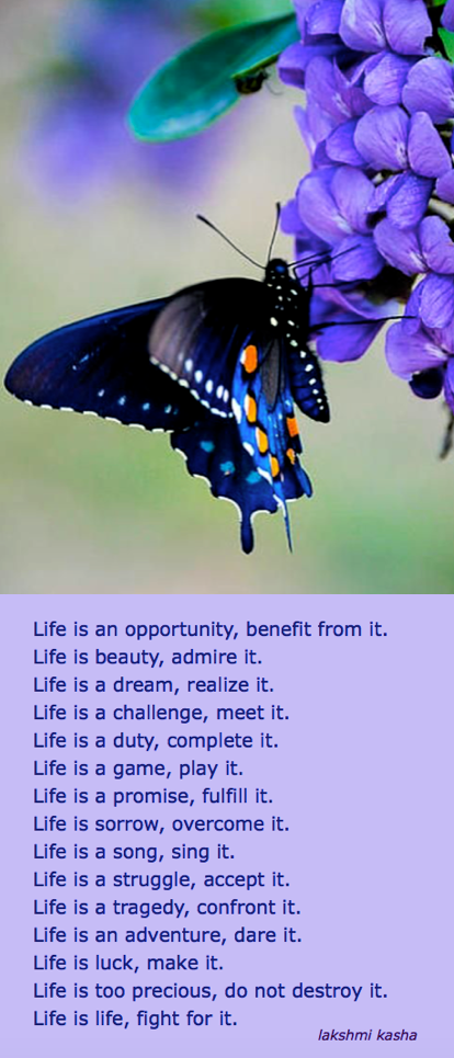 Screen Shot 2016-10-05 at 10.15.03 PM.png