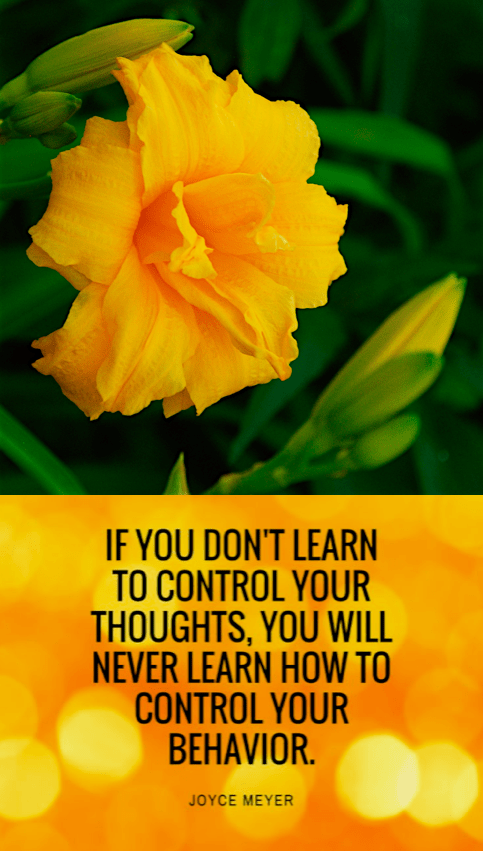 Screen Shot 2016-10-05 at 10.30.46 PM.png