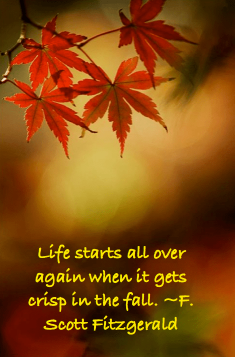 Screen Shot 2016-10-06 at 10.33.56 PM.png