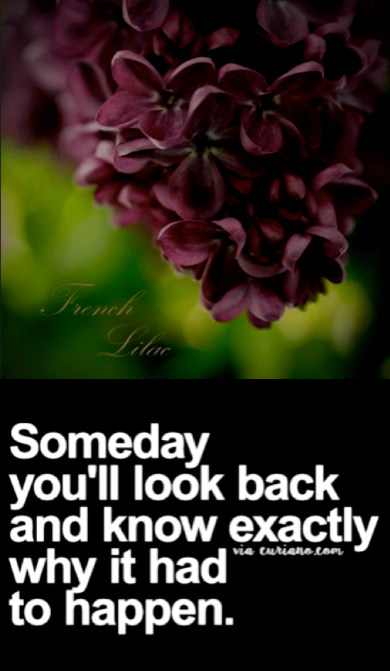 Screen Shot 2016-10-06 at 10.35.01 PM.png