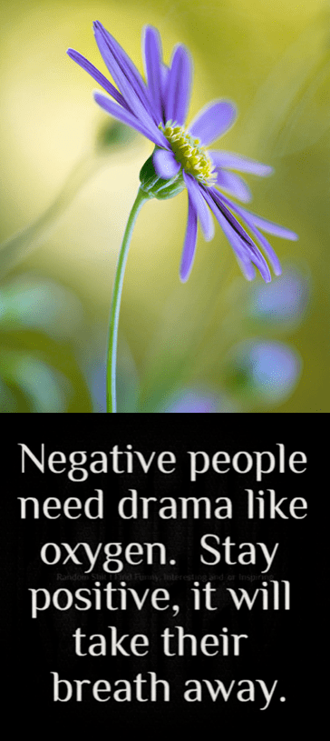 Screen Shot 2016-10-06 at 11.10.51 PM.png