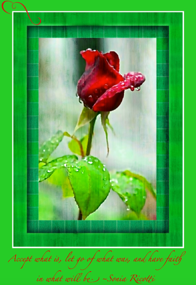 Screen Shot 2016-10-09 at 4.32.09 PM.png