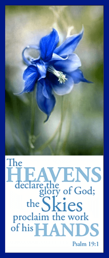 Screen Shot 2016-10-09 at 8.07.10 AM.png