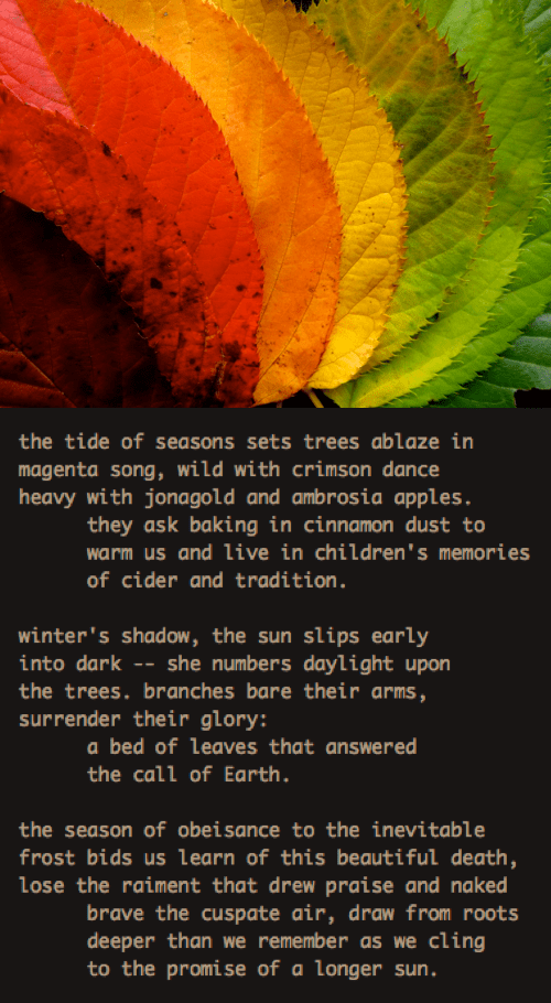 Screen Shot 2016-10-09 at 8.18.52 PM.png