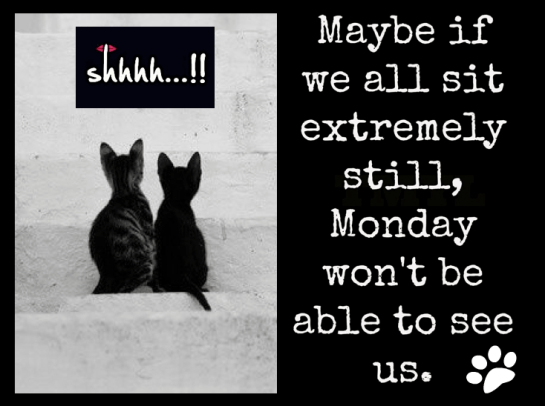 Screen Shot 2016-10-09 at 8.56.58 PM.png