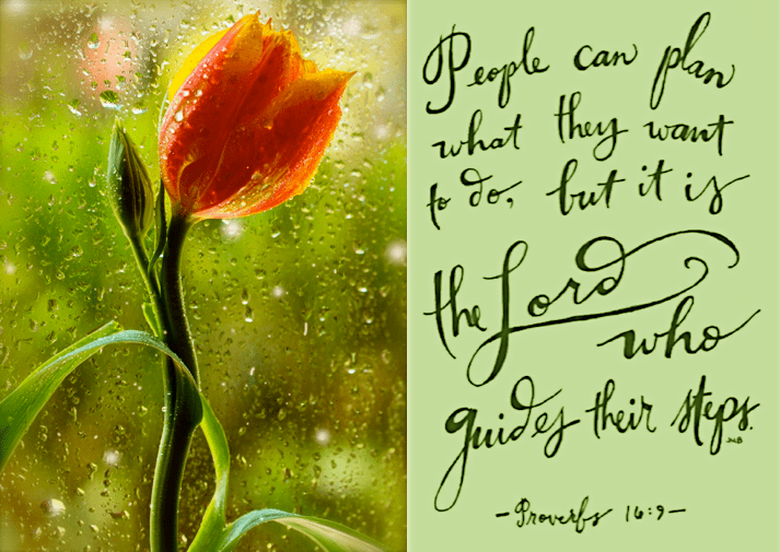 Screen Shot 2016-10-10 at 10.30.41 PM.png