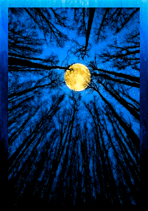 Screen Shot 2016-10-11 at 2.54.01 PM.png