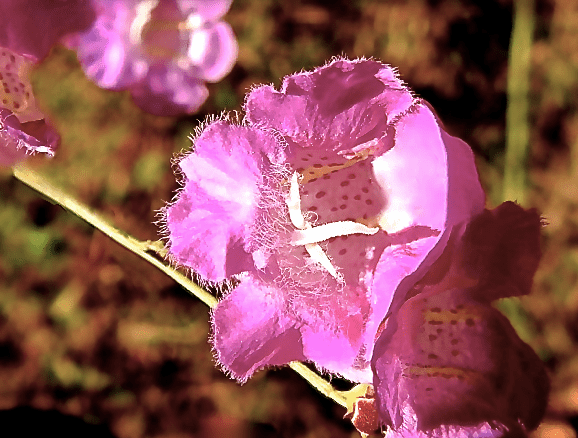 Screen Shot 2016-10-13 at 6.20.18 PM.png