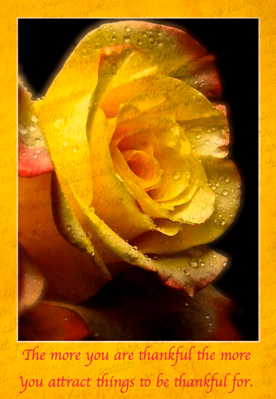 Screen Shot 2016-10-13 at 9.08.35 PM.png