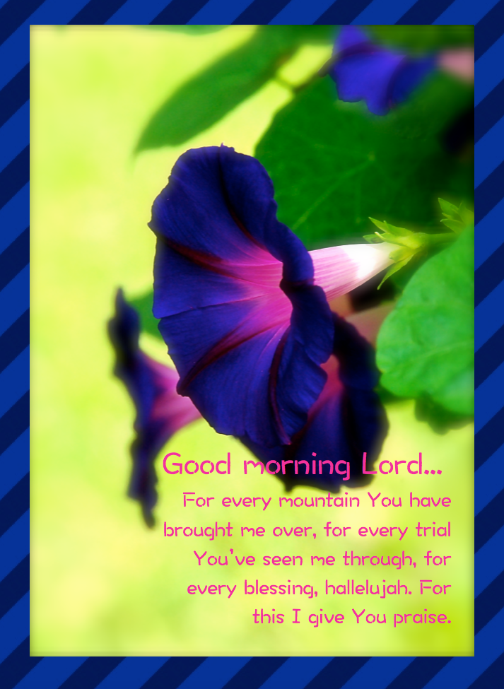 Screen Shot 2016-10-13 at 9.33.42 PM.png