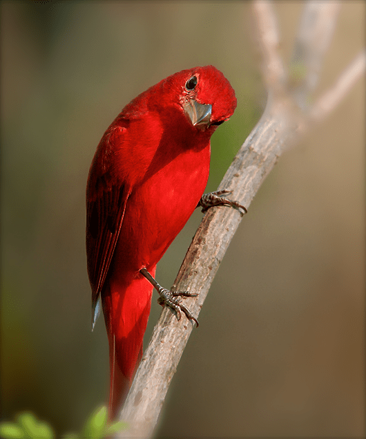 Screen Shot 2016-10-14 at 6.56.12 PM.png